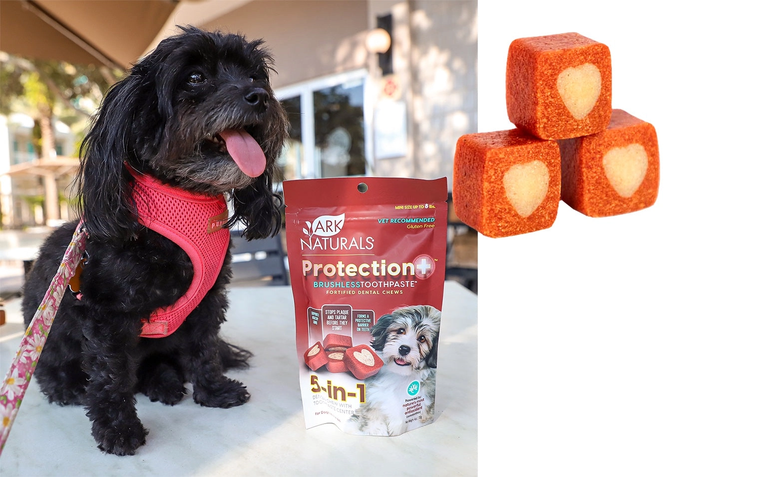 Ark Naturals Protection  Brushless Toothpaste Dental Chews for Dogs