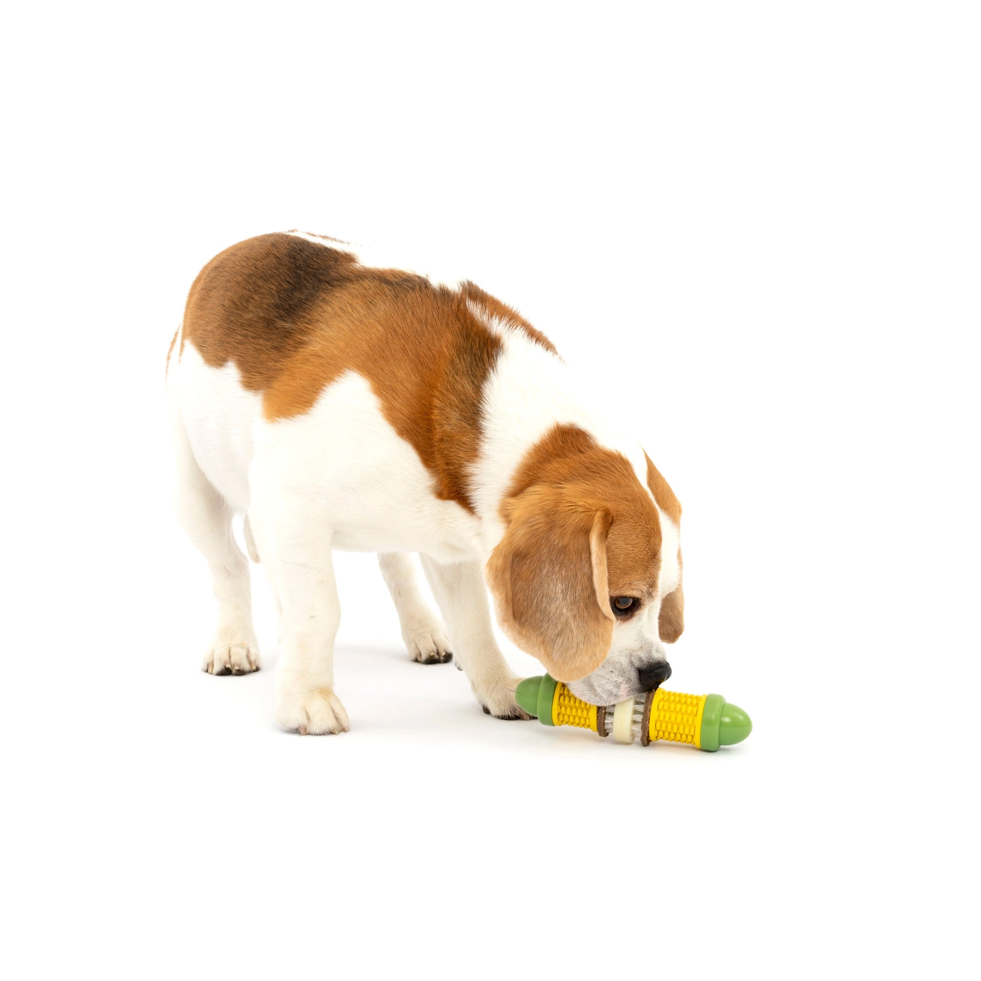 PetSafe® Busy Buddy® Cravin’ Corncob Dog Toy
