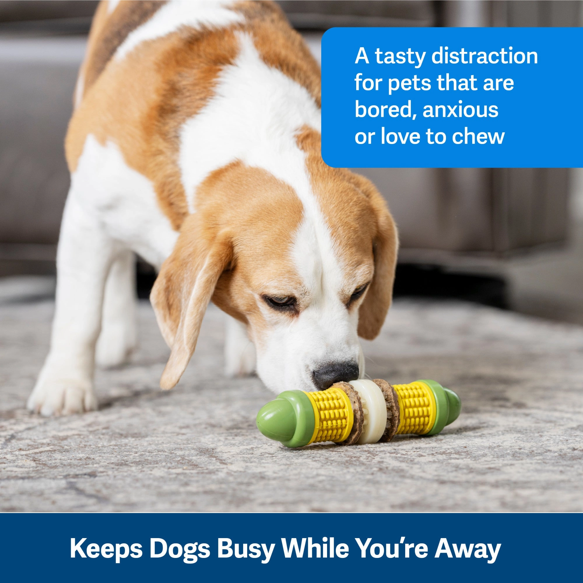 PetSafe® Busy Buddy® Cravin’ Corncob Dog Toy